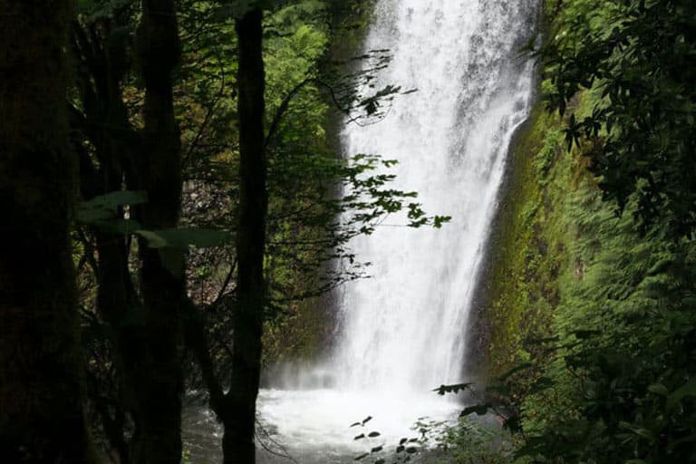 Pride Disposal and Recycling improve their paperless waste management