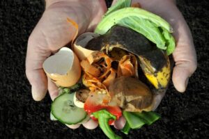 Hands placing pumpkin scraps and food waste into a compost bin labeled for organic waste